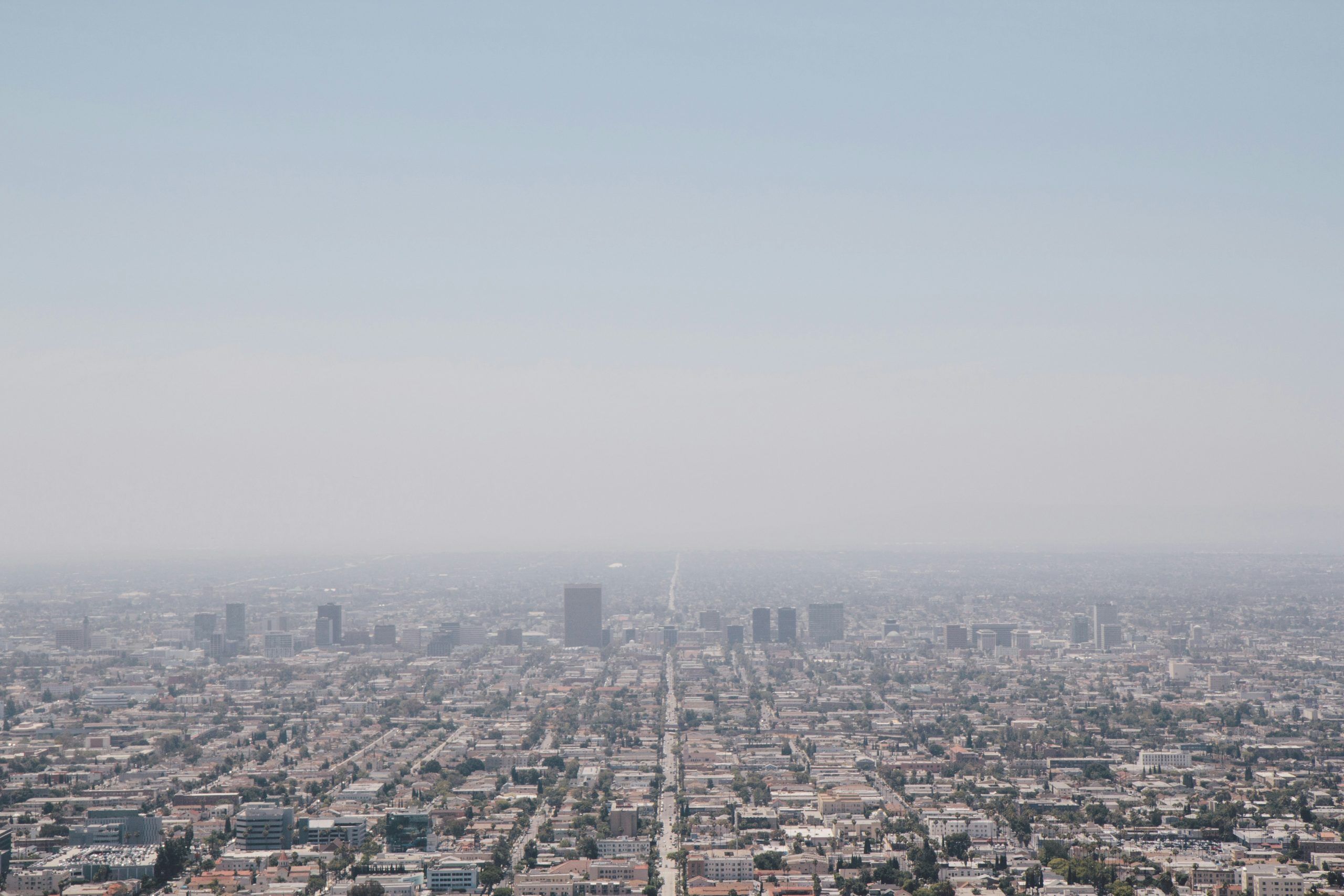 Gurovich Berk Federal Criminal Attorneys